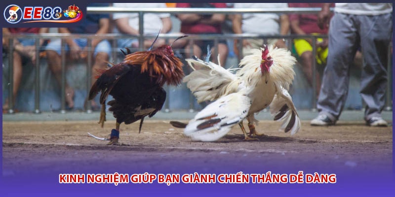 Kinh nghiệm giúp bạn giành chiến thắng dễ dàng
