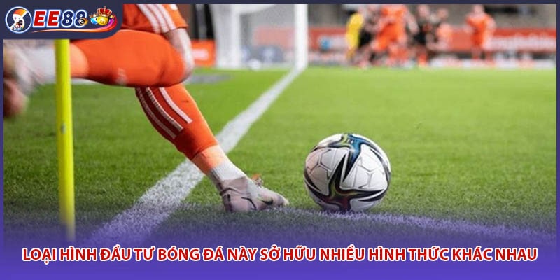 Loại hình đầu tư bóng đá này sở hữu nhiều hình thức khác nhau