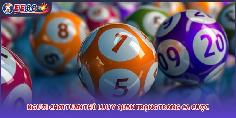 Người chơi tuân thủ lưu ý quan trọng trong cá cược